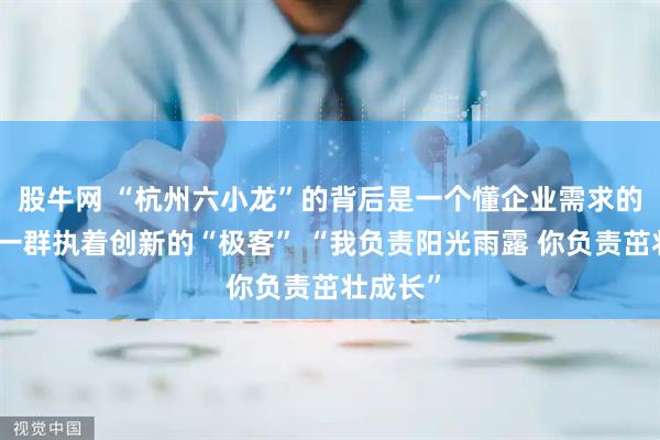 股牛网 “杭州六小龙”的背后是一个懂企业需求的政府和一群执着创新的“极客” “我负责阳光雨露 你负责茁壮成长”