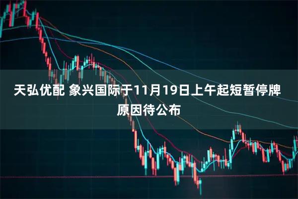 天弘优配 象兴国际于11月19日上午起短暂停牌 原因待公布