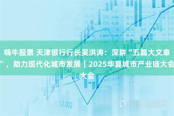 嗨牛股票 天津银行行长吴洪涛：深耕“五篇大文章”，助力现代化城市发展｜2025华夏城市产业链大会